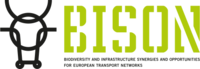 bison-projects_logo